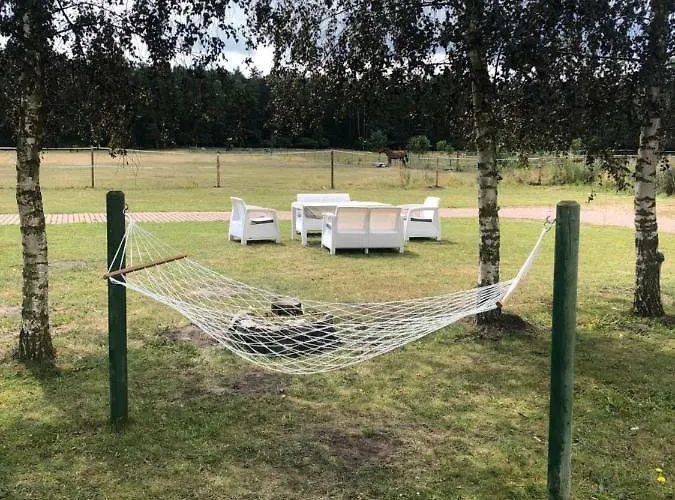 홈스테이 Brzozki *